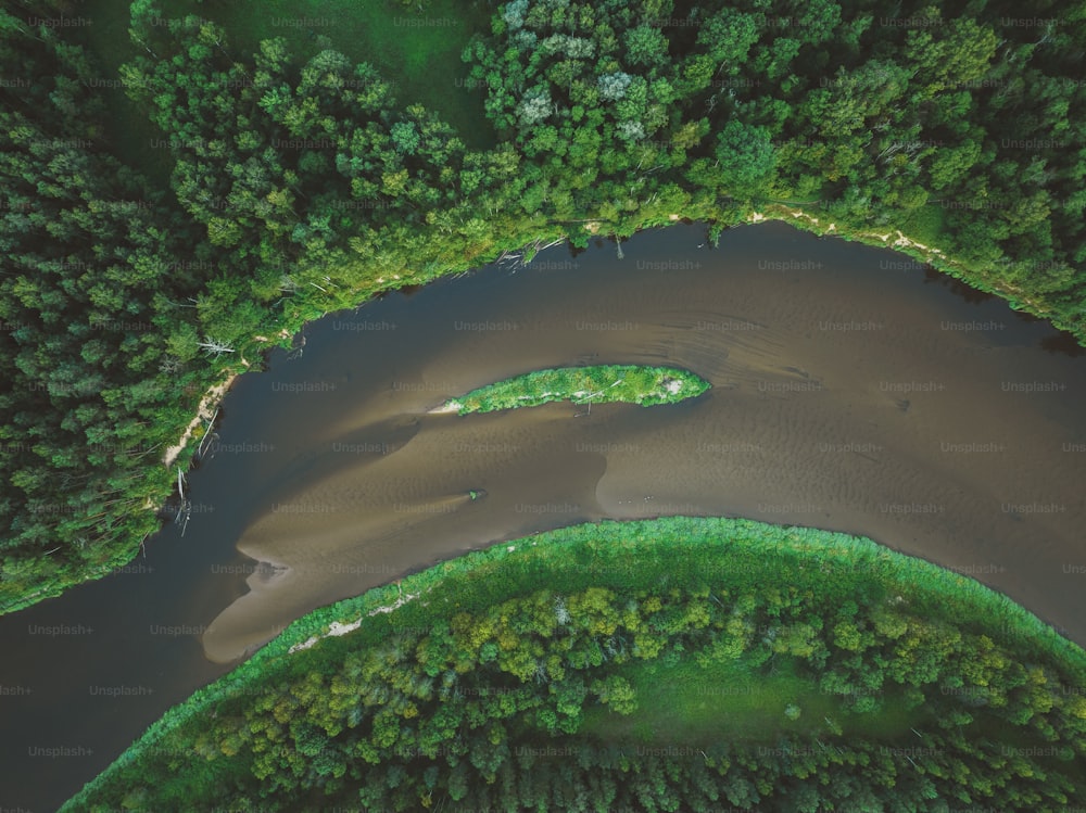 an aerial view of a river running through a lush green forest