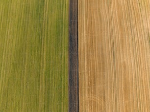 an aerial view of a farm field with two rows of crops