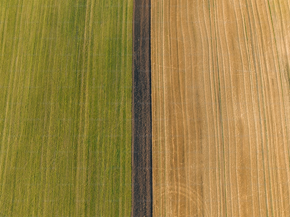 an aerial view of a farm field with two rows of crops