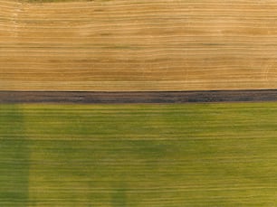 an aerial view of a field with a single tree in the middle of it