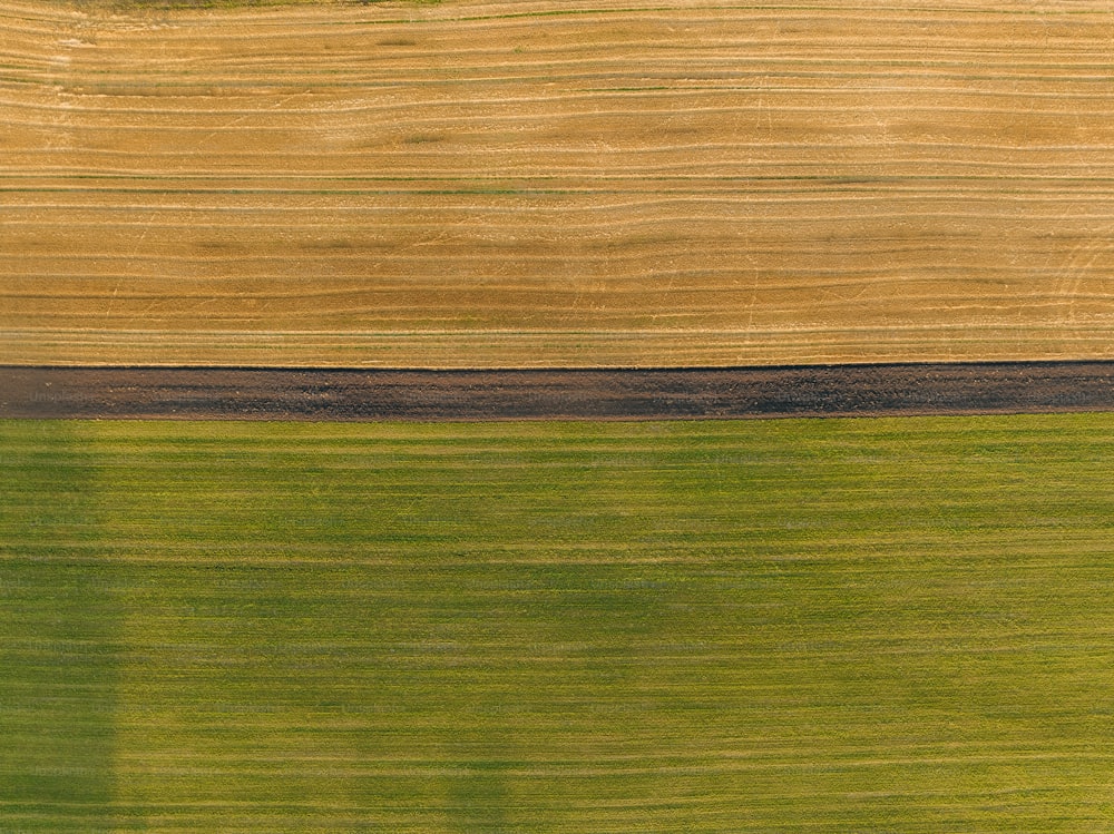 an aerial view of a field with a single tree in the middle of it