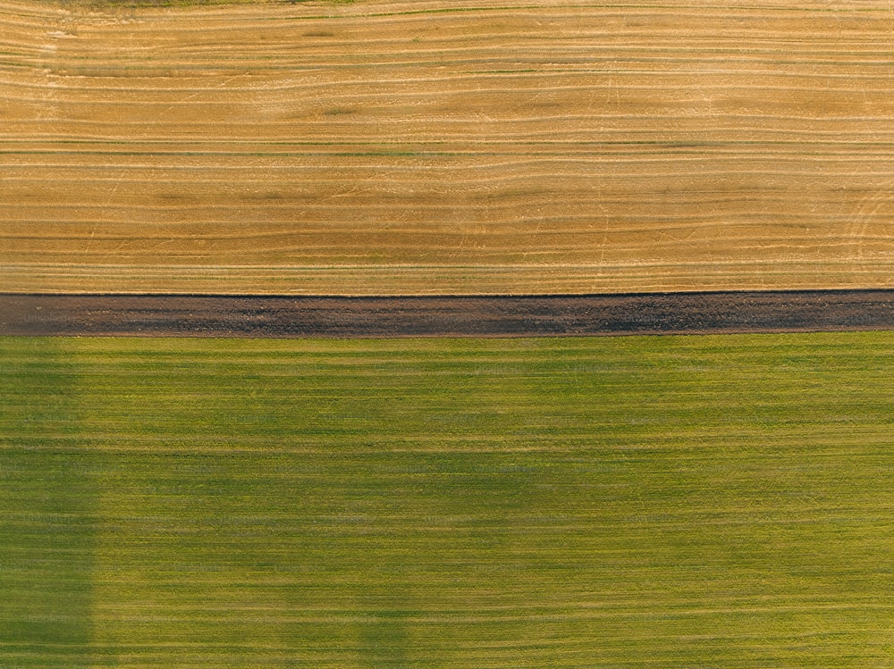 uma vista aérea de um campo com uma única árvore no meio dele