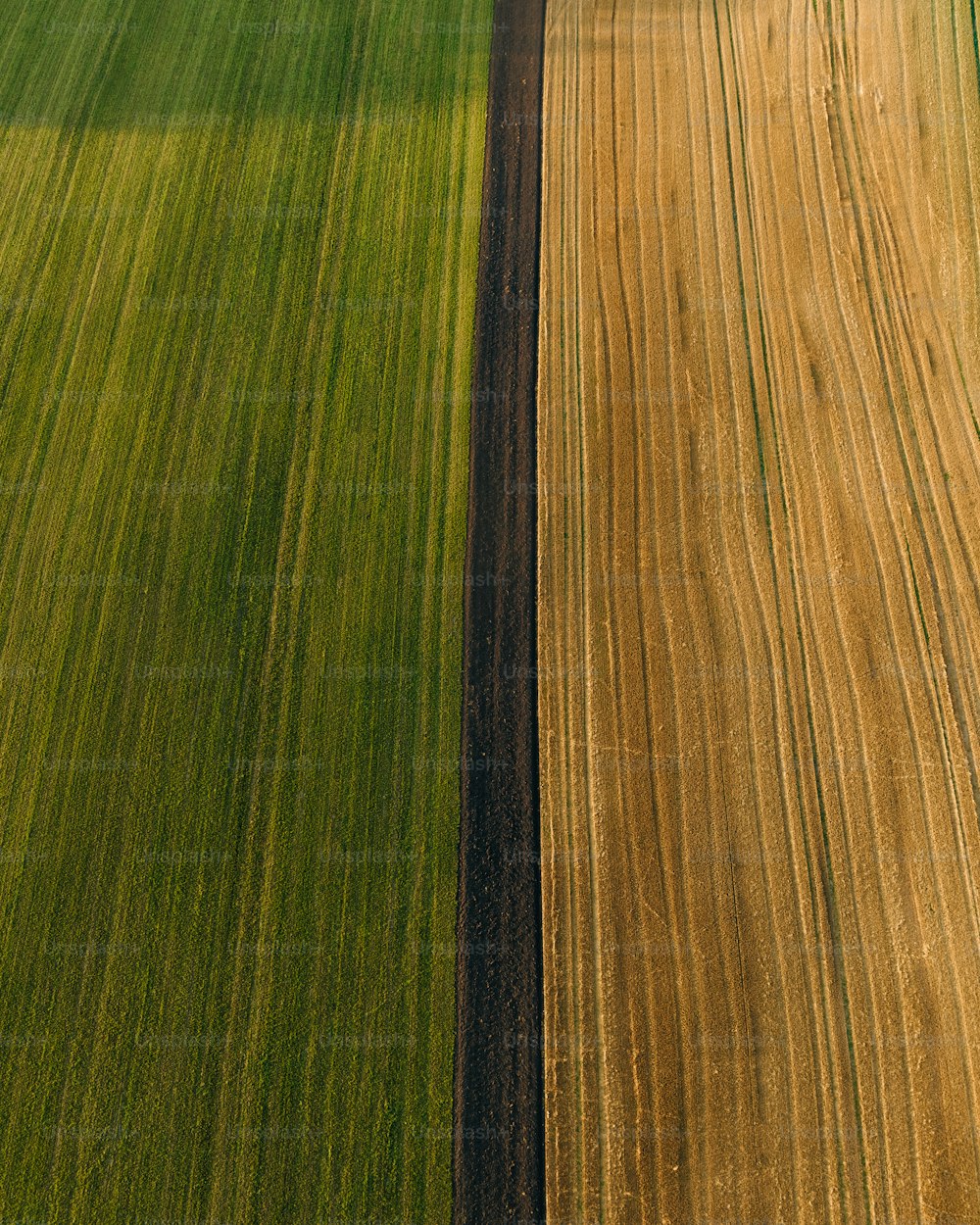 an aerial view of a farm field with two rows of green grass