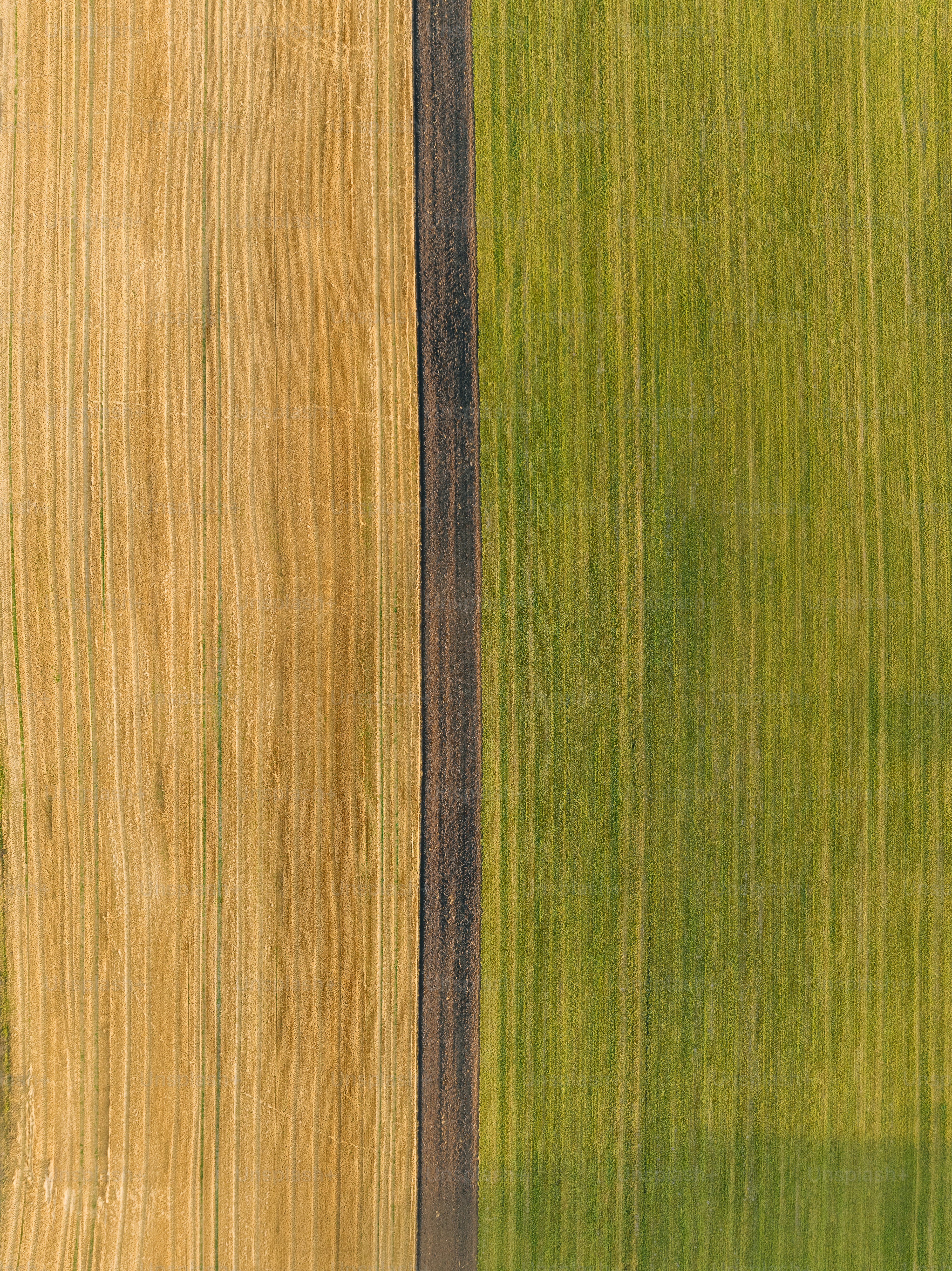 uma vista aérea de um grande campo com uma única árvore no meio dele
