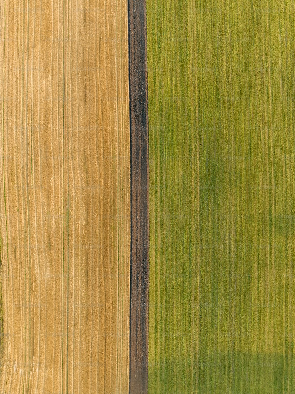 an aerial view of a large field with a single tree in the middle of it