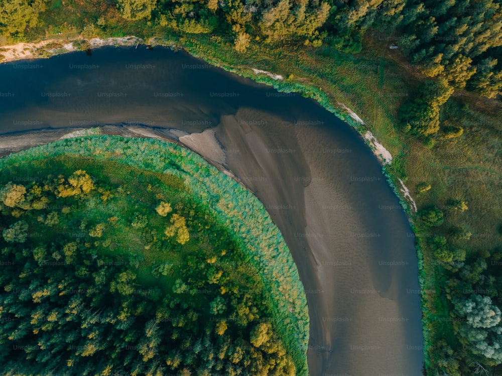 an aerial view of a river running through a forest