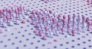 a group of pink and white dots on a white surface