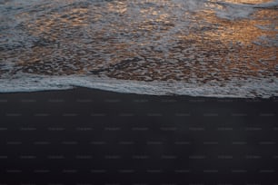 a surfboard sitting on top of a wave in the ocean