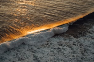 Le soleil brille sur les vagues de l’océan