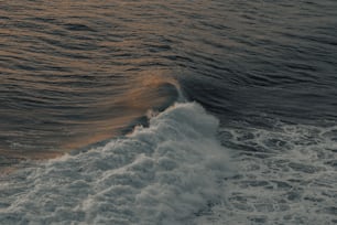un grand plan d’eau avec une vague qui arrive