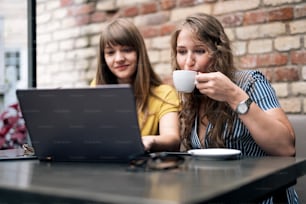 Mujeres jóvenes con estilo que tienen una reunión amistosa con tazas de café mientras usan la computadora portátil