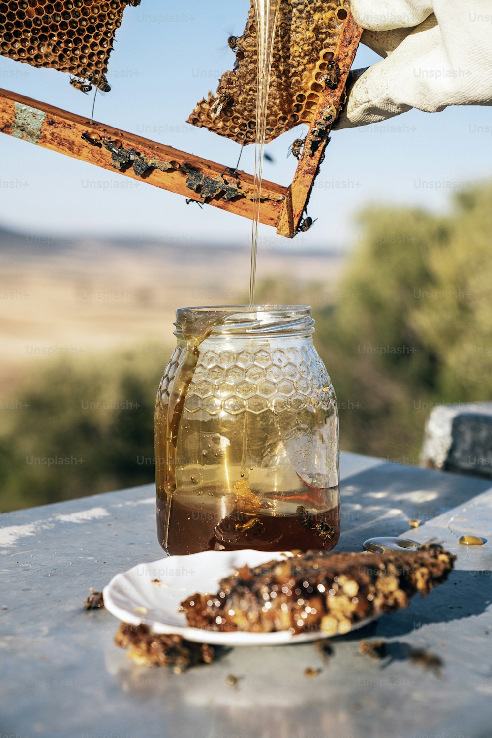 Lata de vidro cheia de mel. Conceito de apicultor