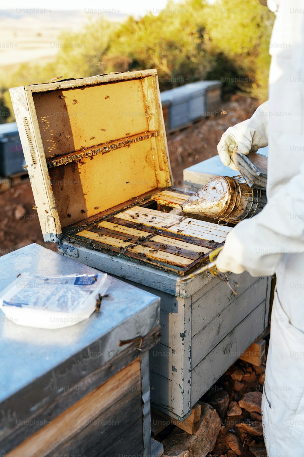 Apicultor trabajando recolectando miel. Concepto de apicultura.