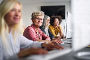 Gruppe von älteren Menschen, die Computer- und Technologieunterricht besuchen, arbeiten.