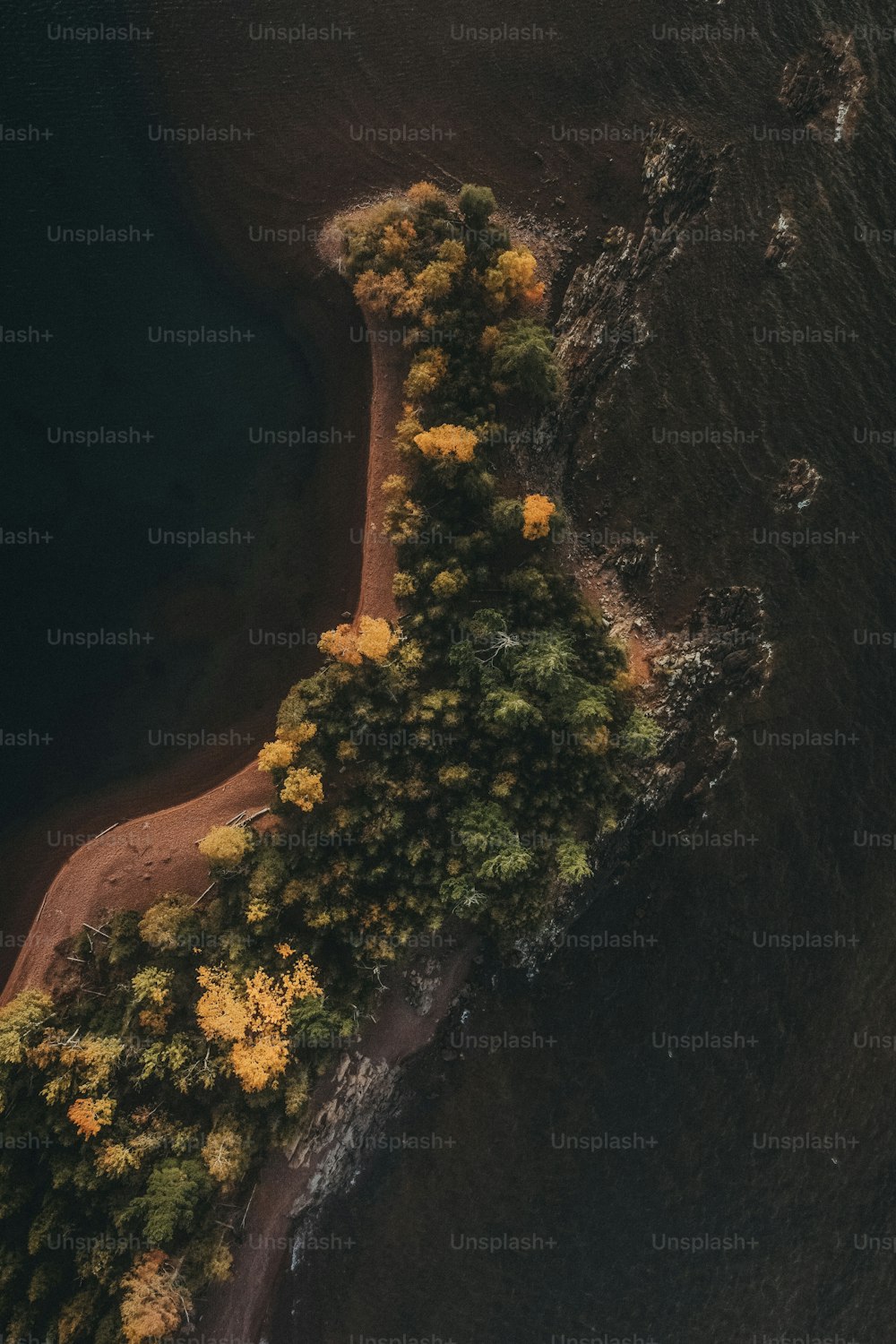 Eine Luftaufnahme eines von Bäumen umgebenen Gewässers