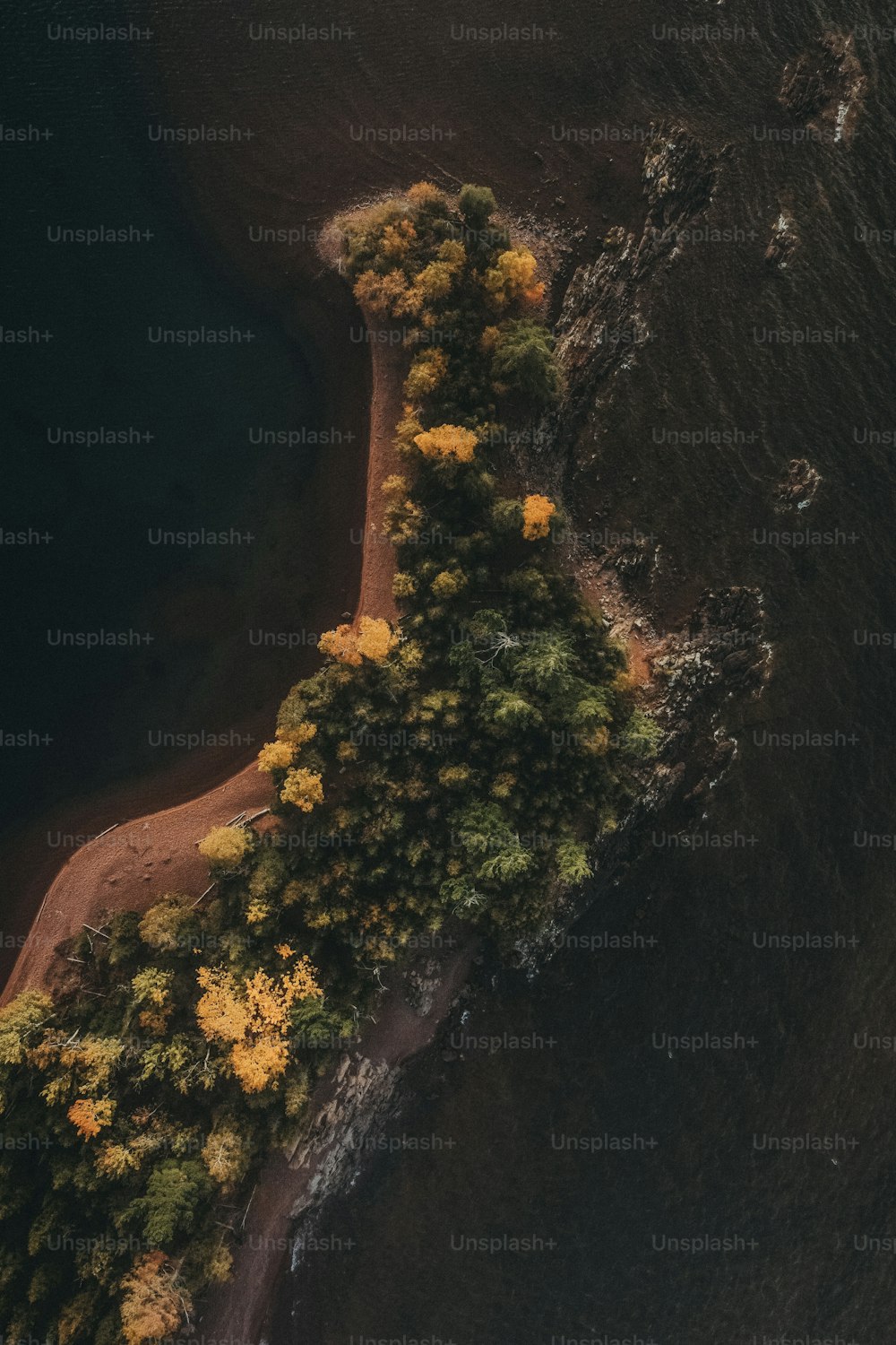 an aerial view of a body of water surrounded by trees