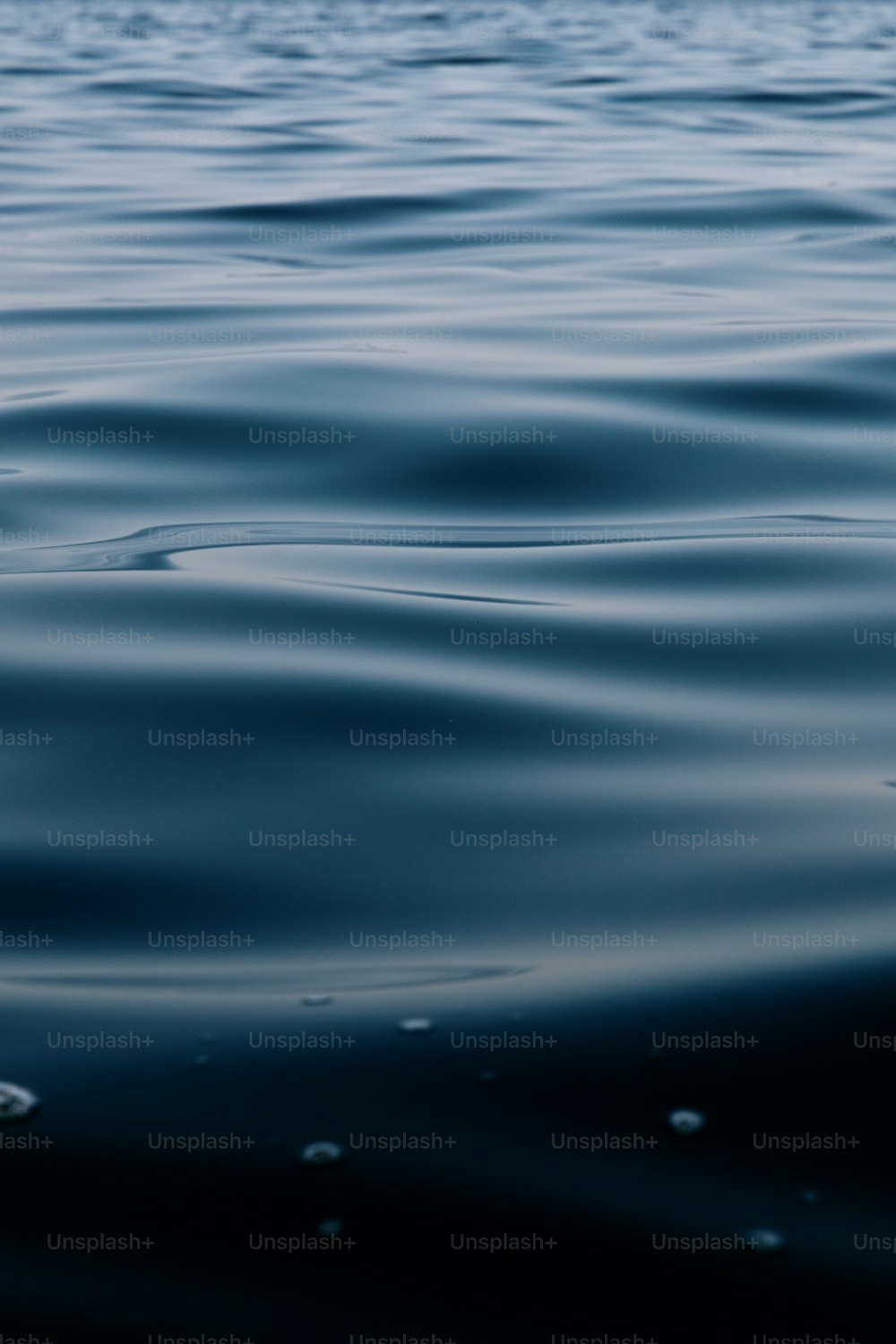 a large body of water with a bird flying over it