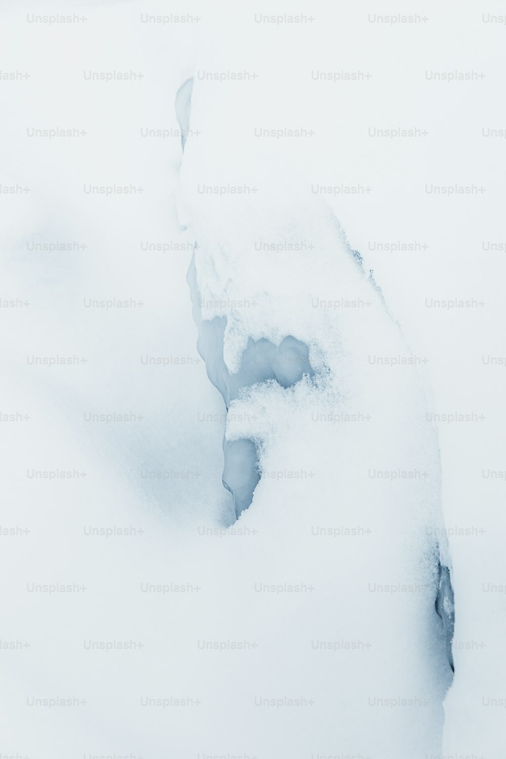 a bird standing on top of a snow covered ground