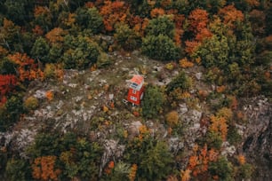 an aerial view of a van parked in the middle of a forest