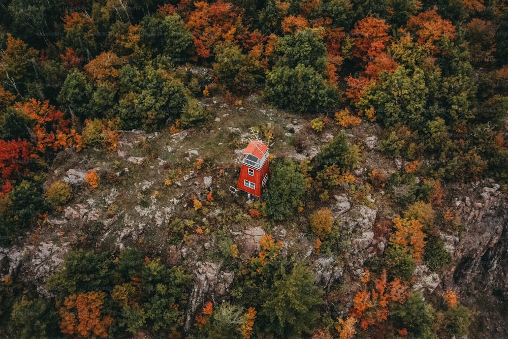 an aerial view of a van parked in the middle of a forest