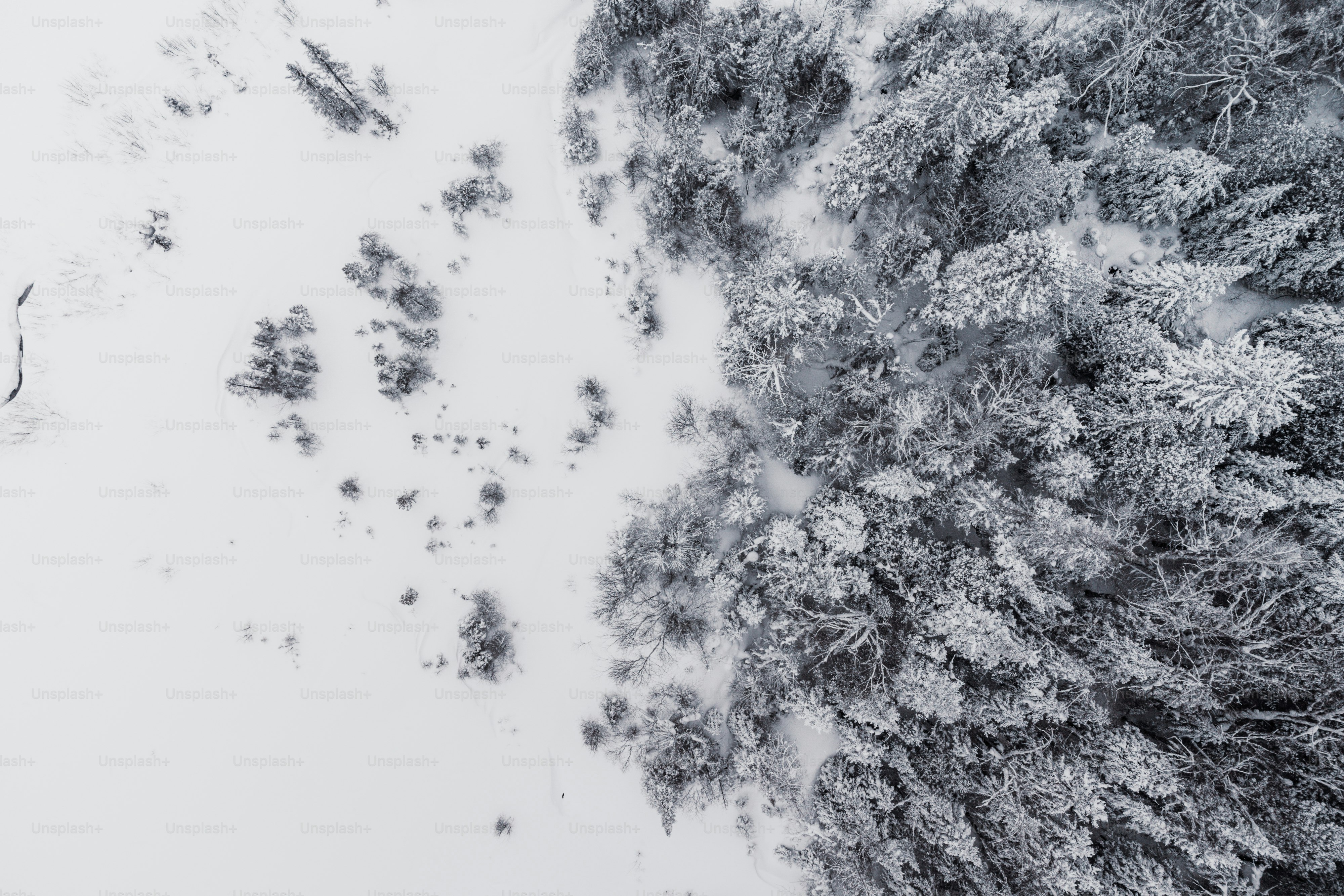 Eine Luftaufnahme eines schneebedeckten Waldes