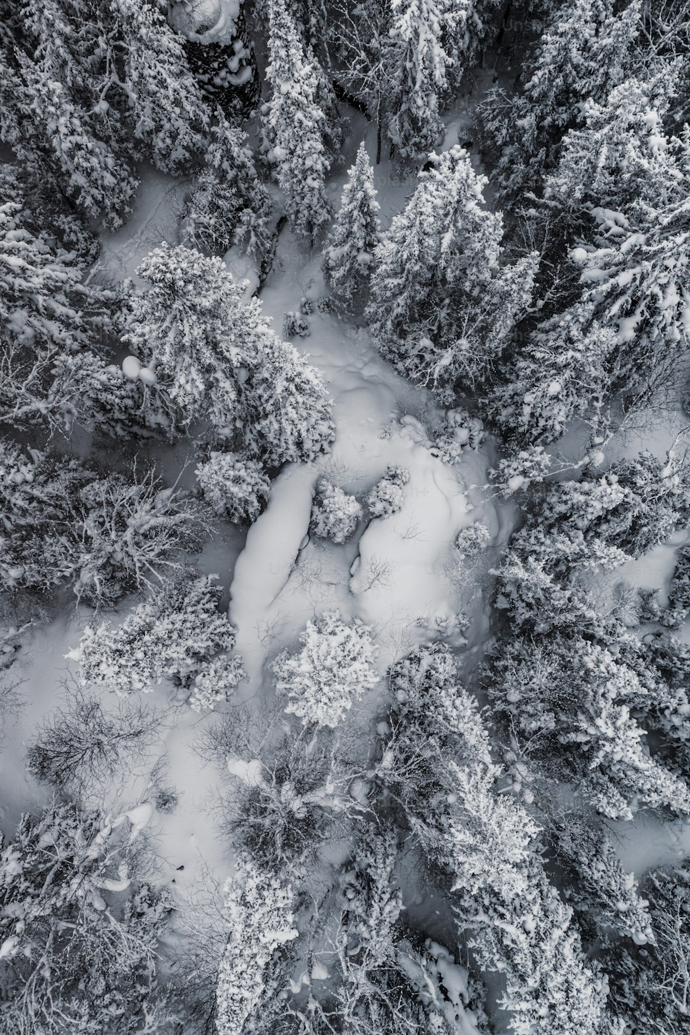 an aerial view of a snow covered forest