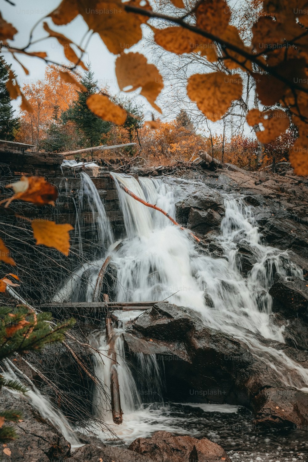 a waterfall in the woods with fall leaves