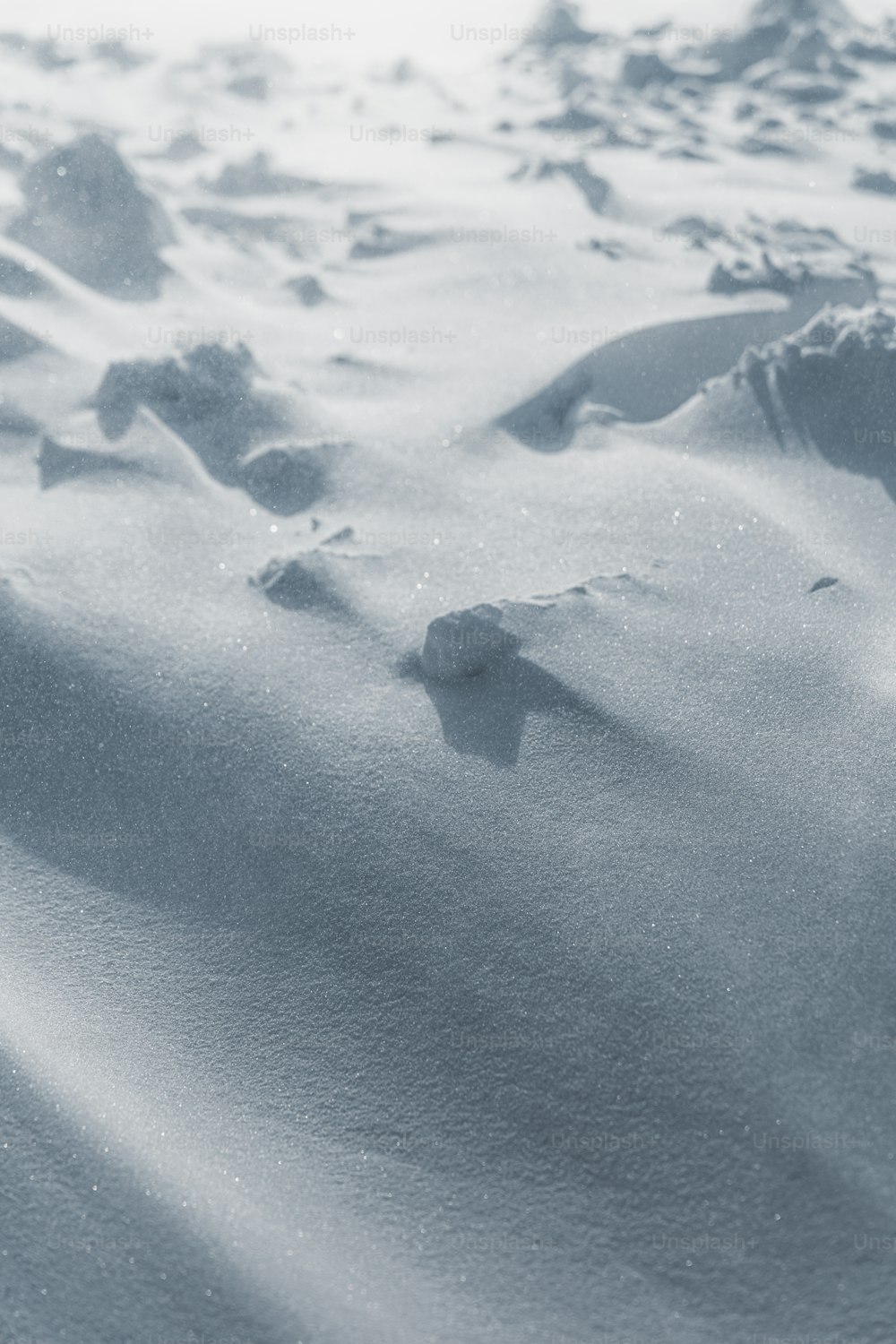 a black and white photo of a snow covered ground