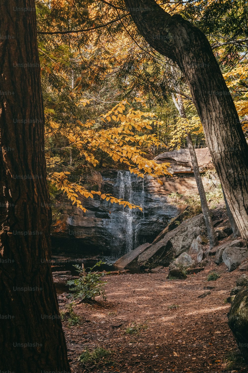 a small waterfall in the middle of a forest