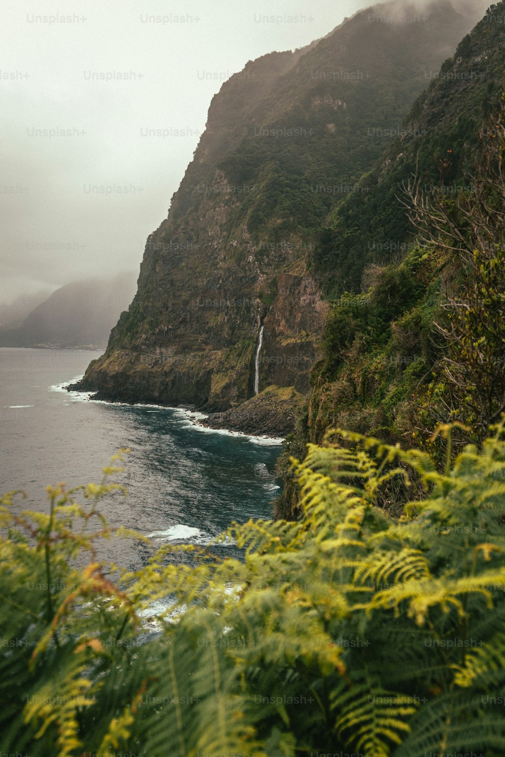 a lush green hillside next to a body of water