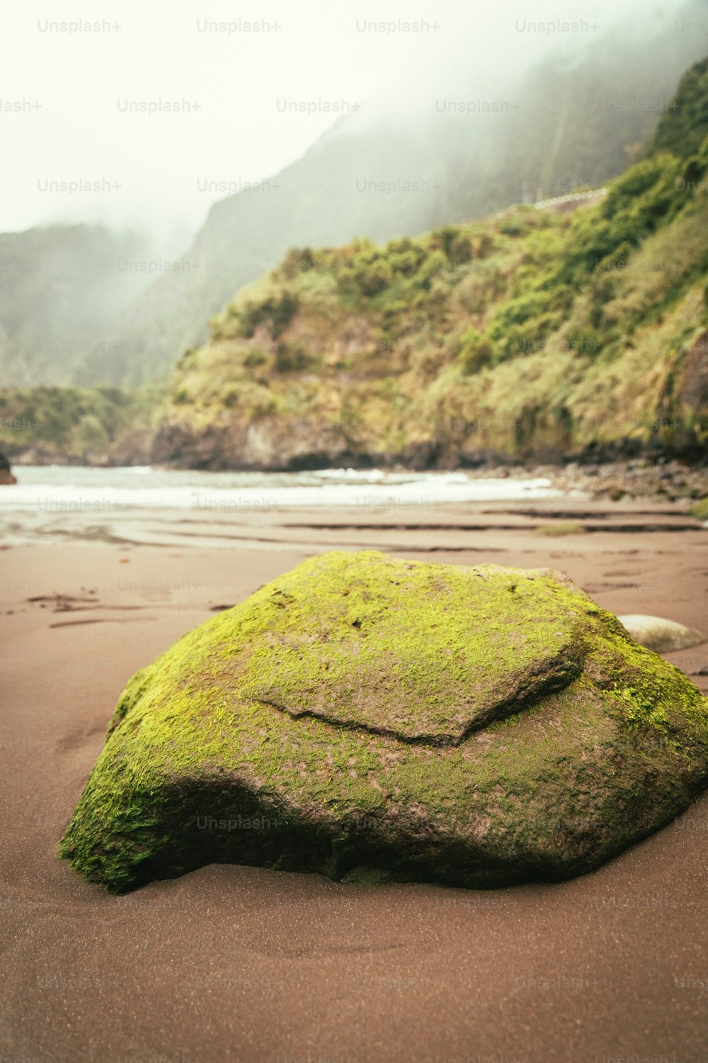 Un rocher recouvert de mousse verte sur une plage