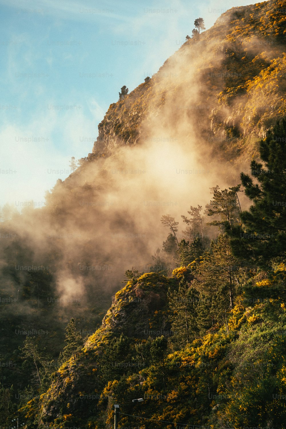 a mountain covered in clouds and trees on a sunny day