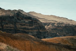 Un par de ovejas de pie en la cima de una exuberante ladera verde