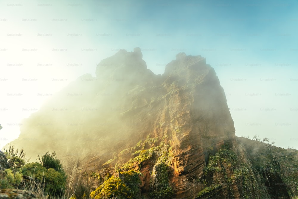 a very tall mountain covered in lots of green plants