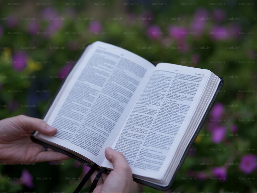 una persona sosteniendo un libro abierto en la mano