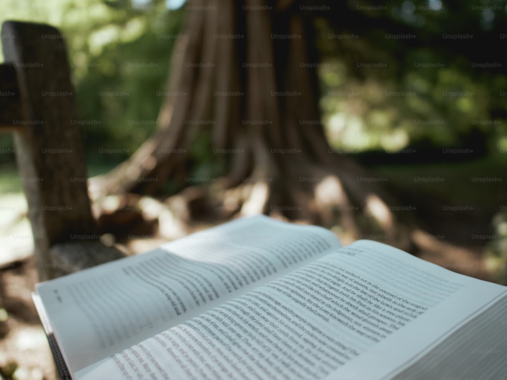 an open book sitting on top of a wooden bench