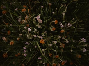 un ramo de flores que están en la hierba