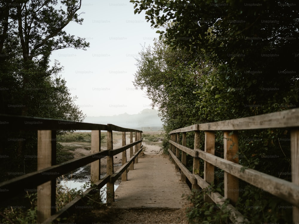 木々に囲まれた川に架かる木製の橋
