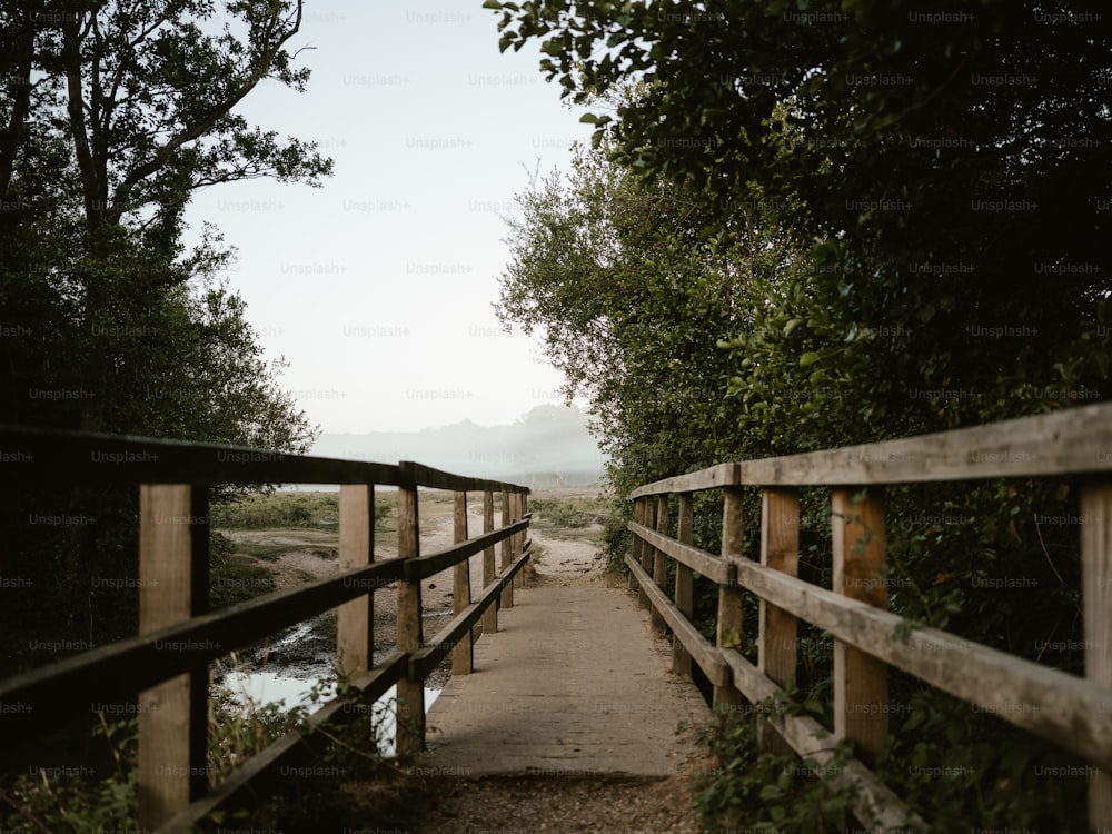 a wooden bridge over a river surrounded by trees