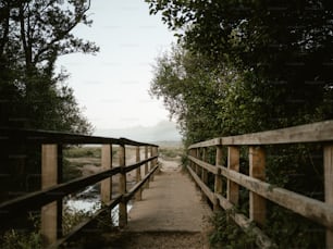 eine Holzbrücke über einen Fluss, umgeben von Bäumen