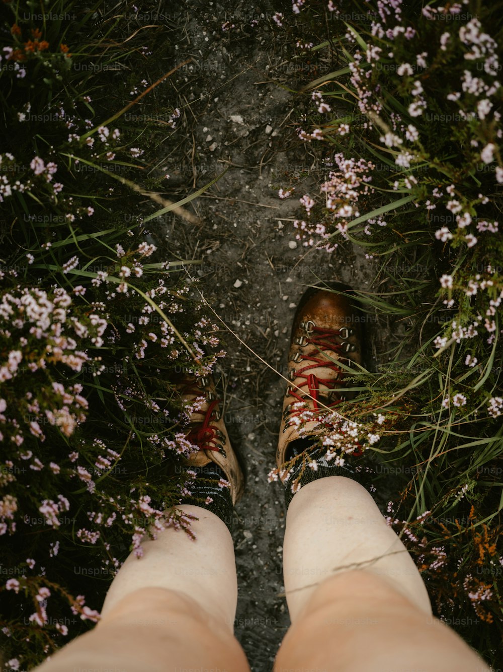 a person standing in a field of flowers