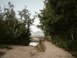 eine Holzbrücke über einen Fluss, umgeben von Bäumen