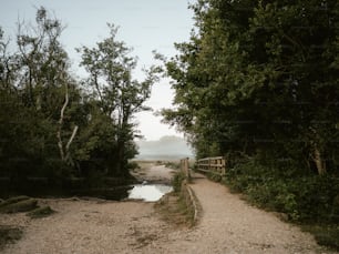 a wooden bridge over a river surrounded by trees