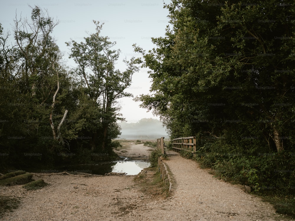 a wooden bridge over a river surrounded by trees