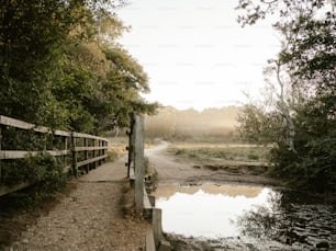 a wooden bridge over a small stream in a forest