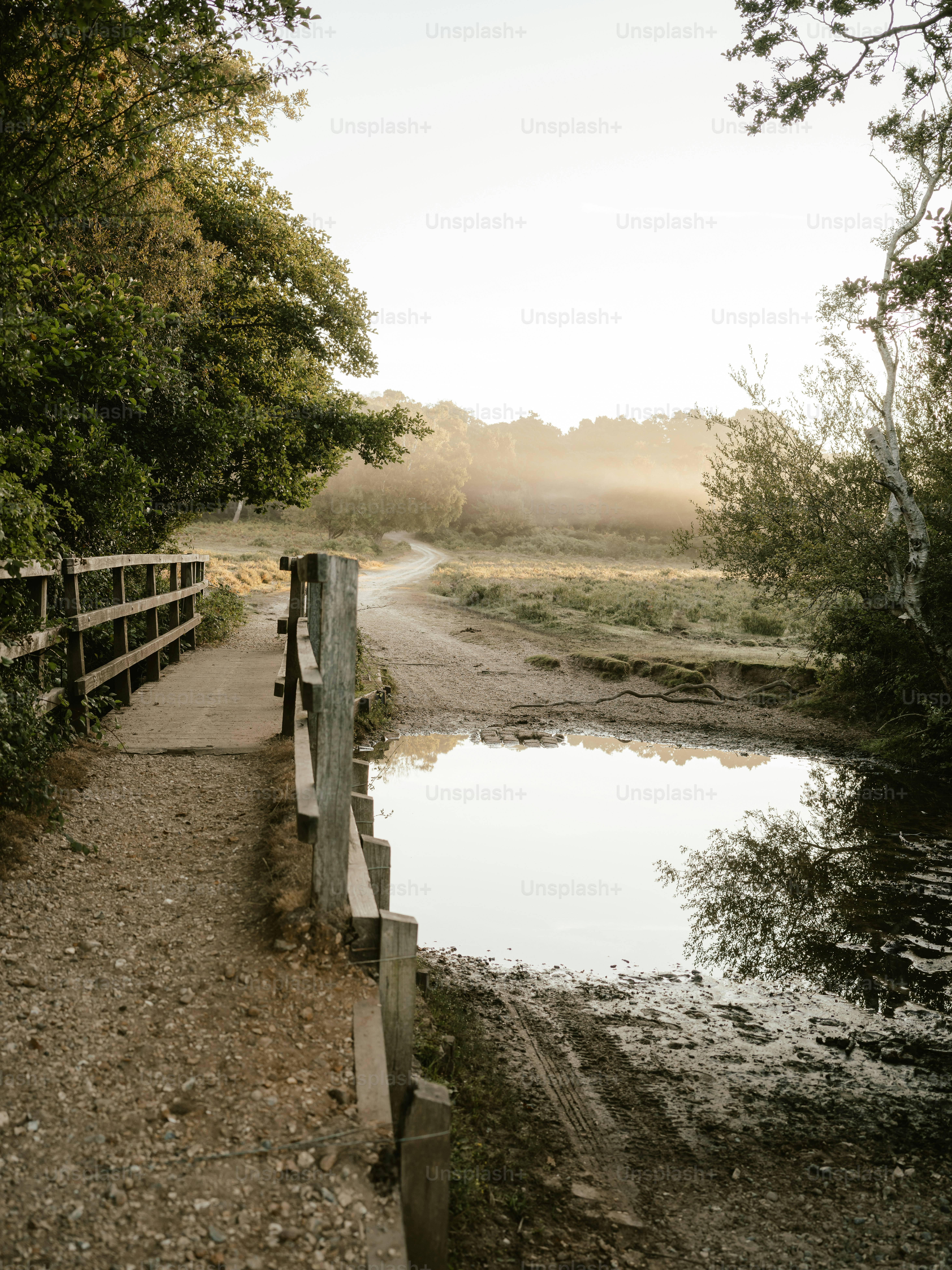 un puente de madera sobre una pequeña masa de agua