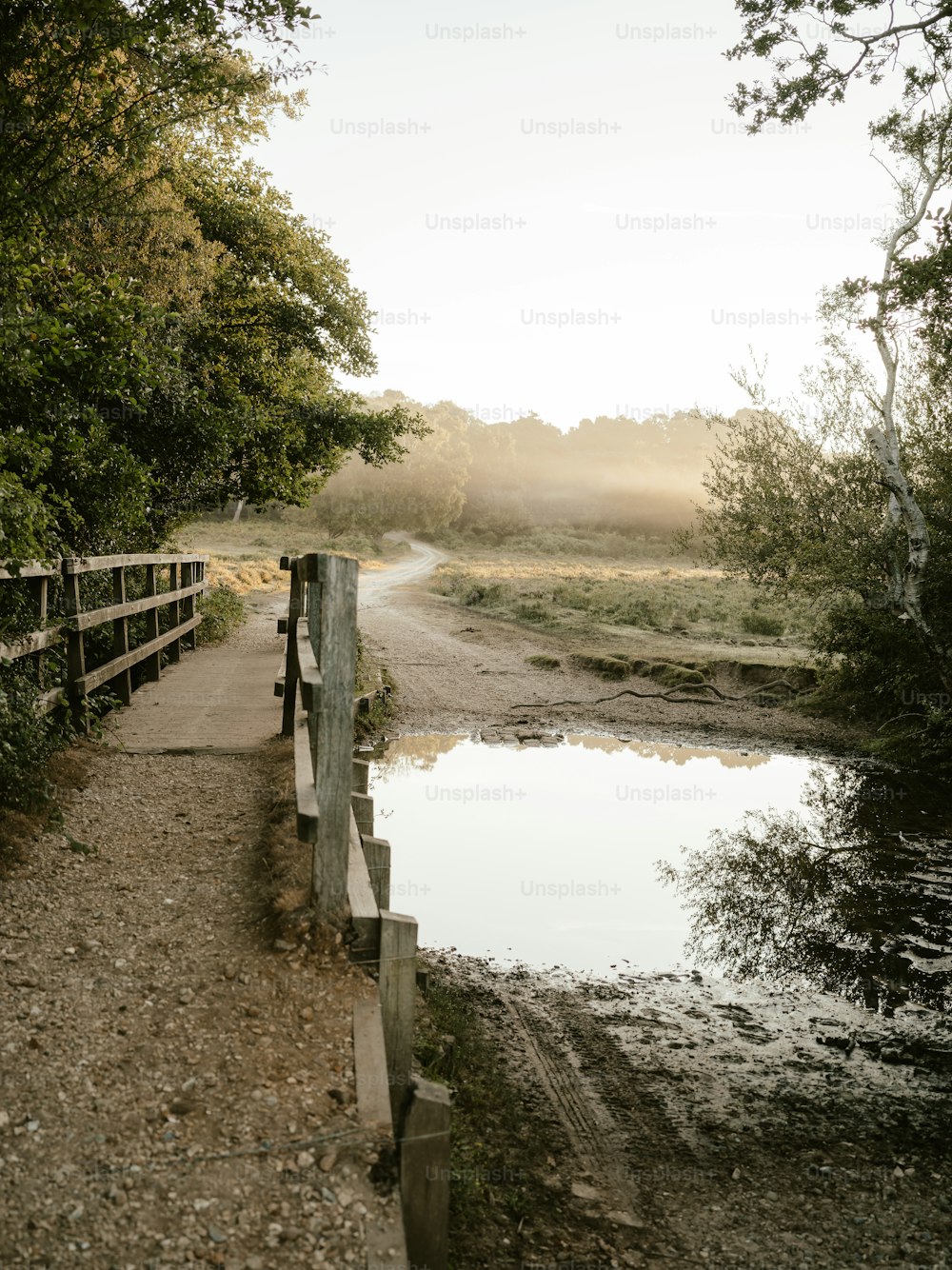 a wooden bridge over a small body of water