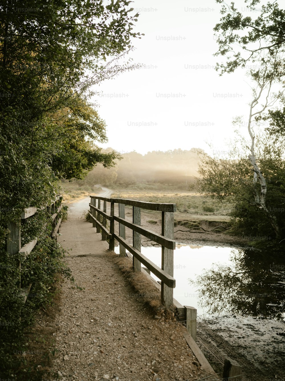 eine Holzbrücke über einen kleinen Fluss im Wald