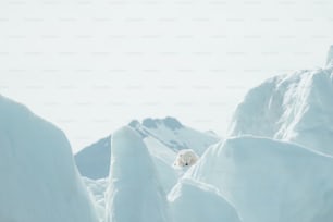 Un oso polar de pie en la cima de una montaña cubierta de nieve