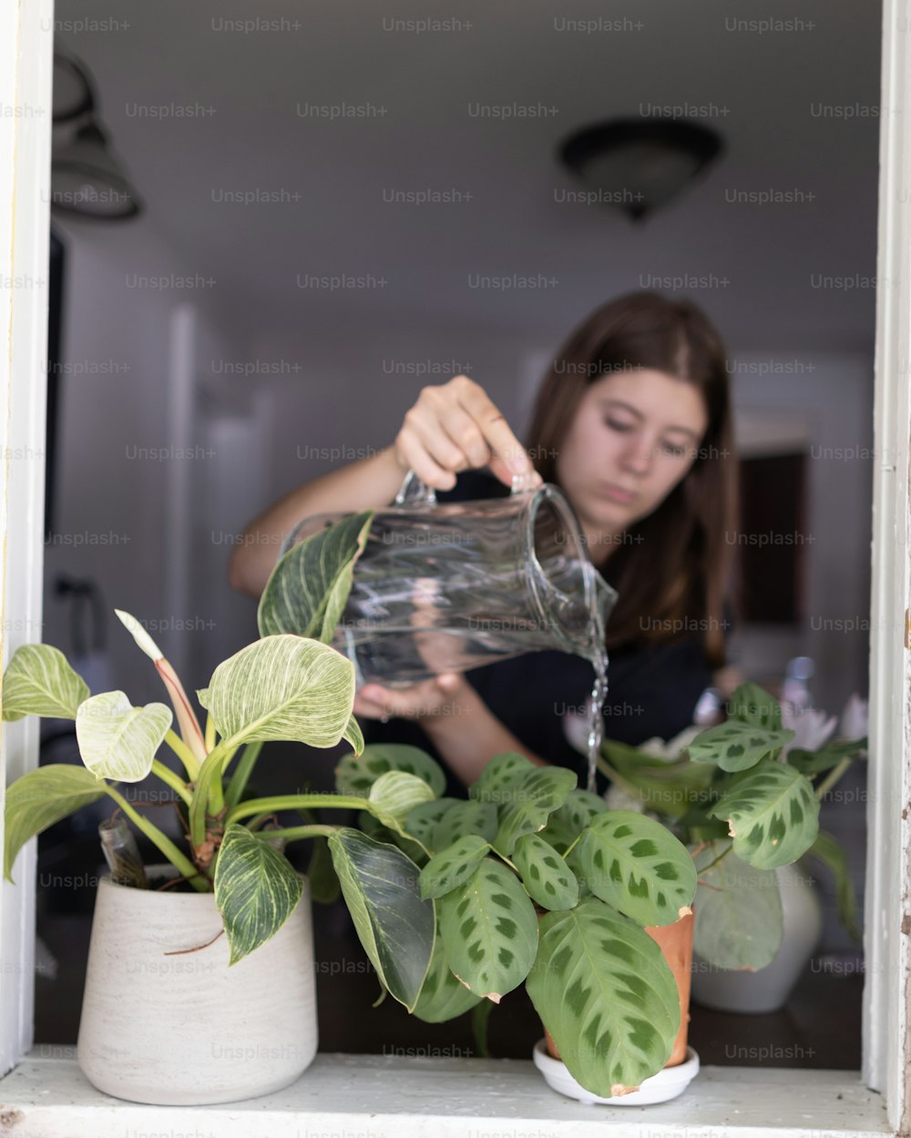 uma mulher despejando água em um vaso de planta